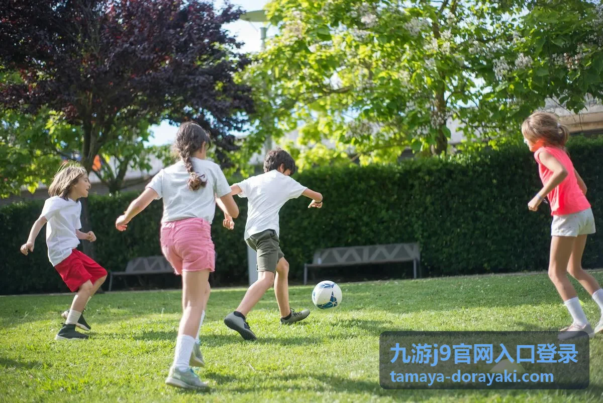 九游j9官网入口登录账号安全与验证说明配图