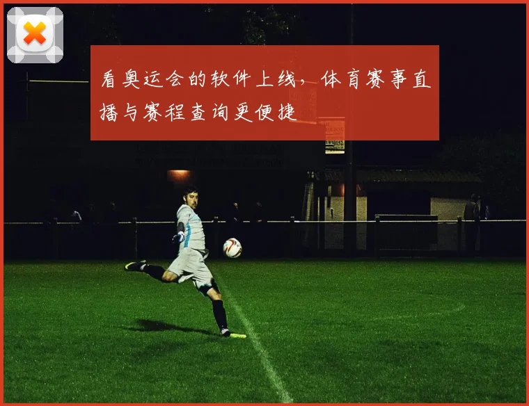 看奥运会的软件上线，体育赛事直播与赛程查询更便捷