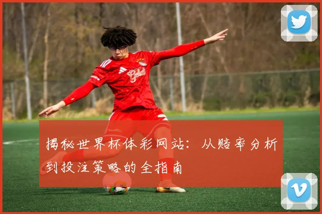 揭秘世界杯体彩网站：从赔率分析到投注策略的全指南