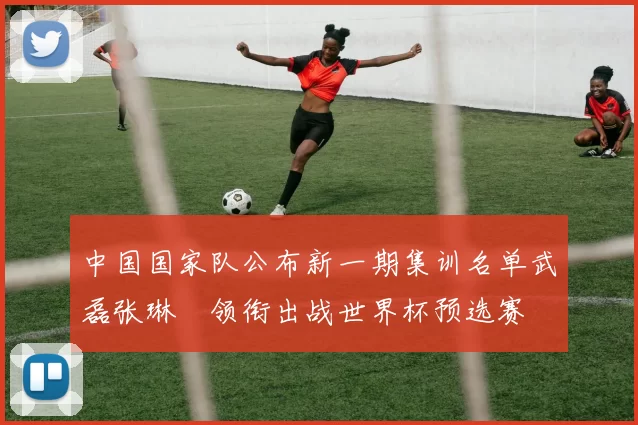 中国国家队公布新一期集训名单武磊张琳芃领衔出战世界杯预选赛