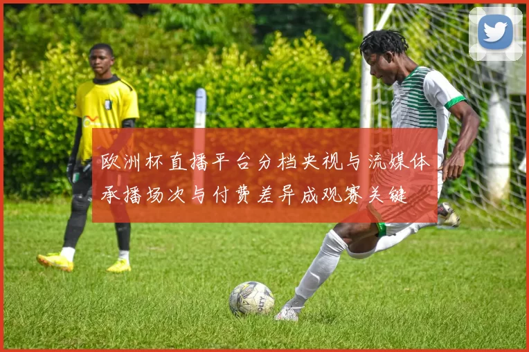 欧洲杯直播平台分档央视与流媒体承播场次与付费差异成观赛关键