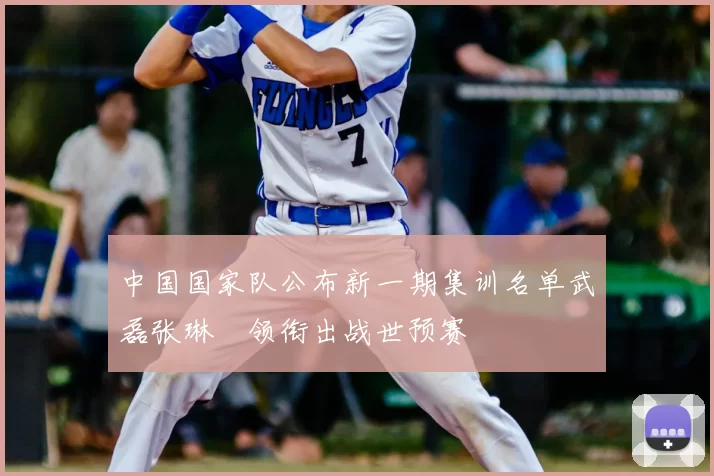 中国国家队公布新一期集训名单武磊张琳芃领衔出战世预赛