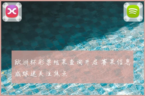 欧洲杯彩票结果查询开启 赛果信息成球迷关注焦点
