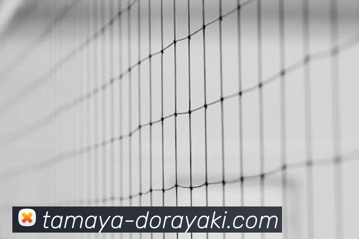 APP 体育赛事宣传图